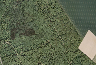 Luftbildinterpretation 01