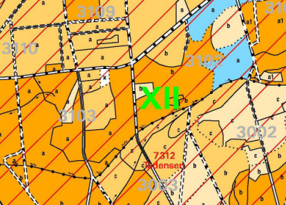 Luftbildinterpretation 03