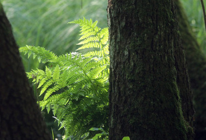 Luftbildinterpretation 08