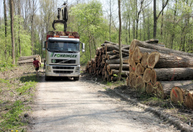 Luftbildinterpretation 09