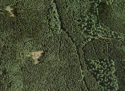 Luftbildinterpretation 21