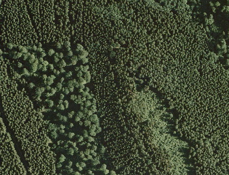 Luftbildinterpretation 22