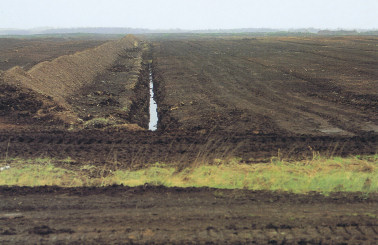 Monitoring Hochmoore_06