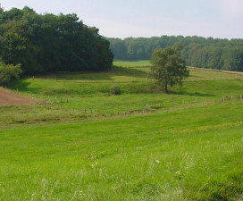 Ref Landschaftsbild 02