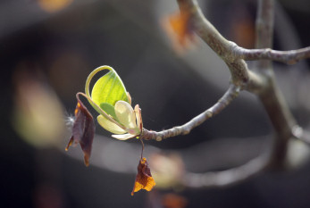 Ref Luftbildinterpretation_01