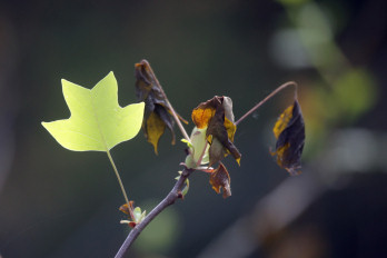 Ref Luftbildinterpretation 04