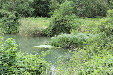 Ref Luftbildinterpretation 10