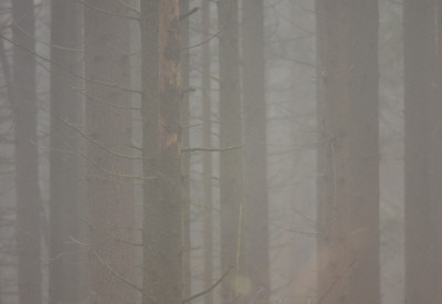 Ref Luftbildinterpretation 11