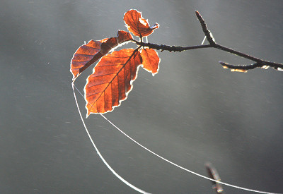 Ref Luftbildinterpretation 12