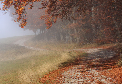 Ref Luftbildinterpretation 13