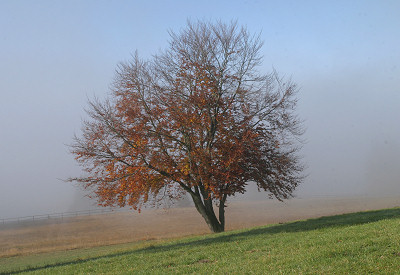 Ref Luftbildinterpretation 14