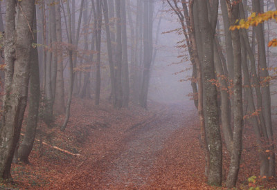 Ref Luftbildinterpretation 15