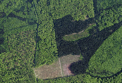 Ref Luftbildinterpretation 22