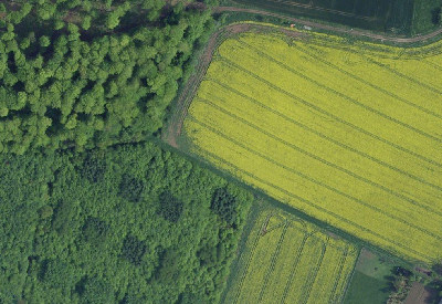 Ref Luftbildinterpretation 29