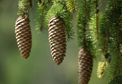 Ref Luftbildinterpretation 37