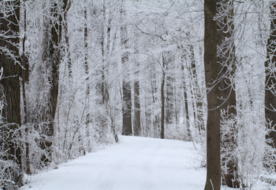 Ref Luftbildinterpretation 44