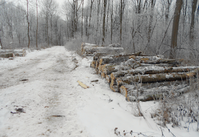 Ref Luftbildinterpretation 47