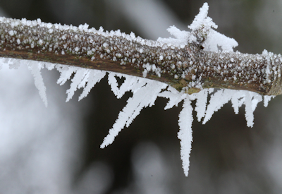 Ref Luftbildinterpretation 48