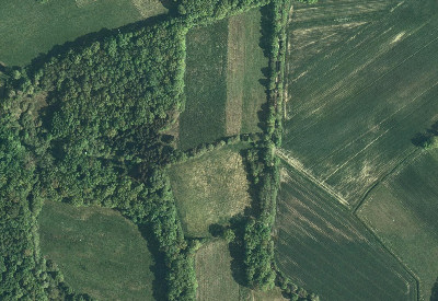 Ref Orthophoto NDS 01