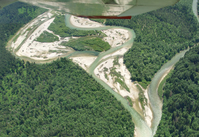 Ref Schutzwald Bayern 03